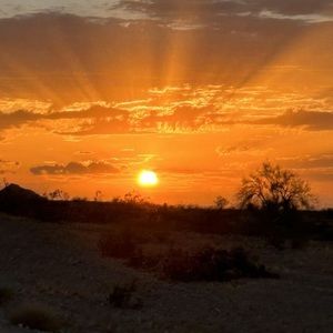 Meet your Posher, Paula